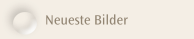 Neueste Bilder
